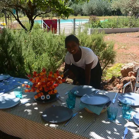 Bastide Des Ribias Holiday home *