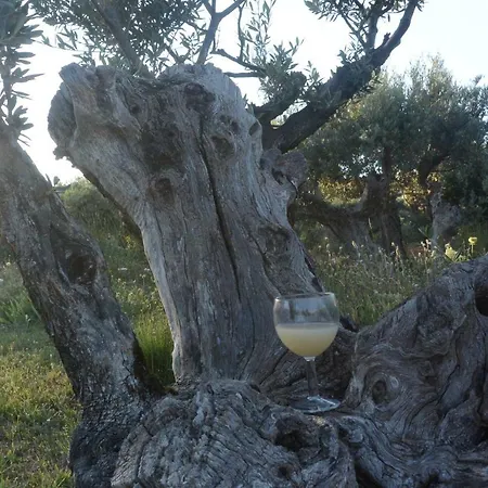 Bastide Des Ribias *
